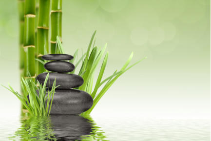 Familienaufstellungen Anmeldung - Headerbild