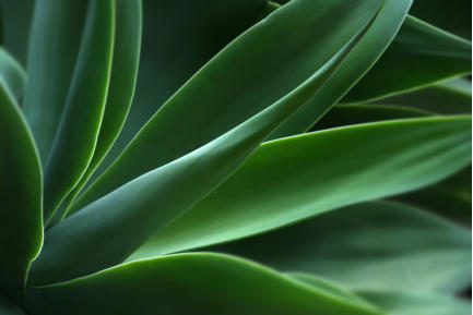 Anmeldung/Seminare Headerbild